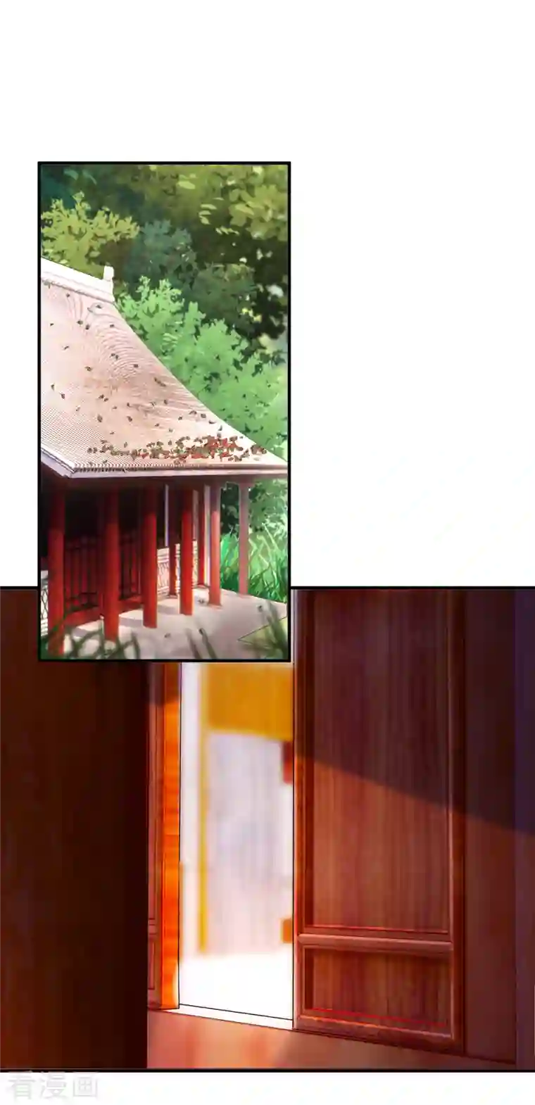 吾本是猫第13话 意外负伤