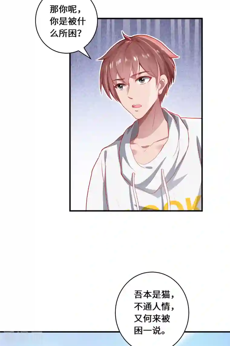吾本是猫第13话 意外负伤