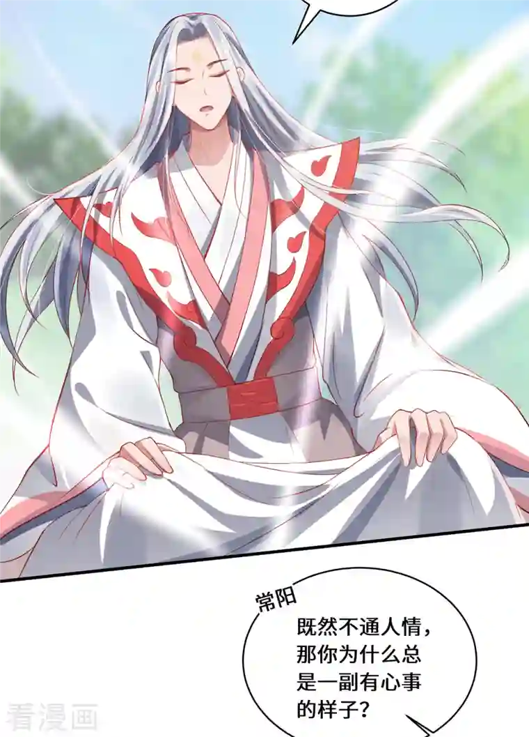 吾本是猫第13话 意外负伤