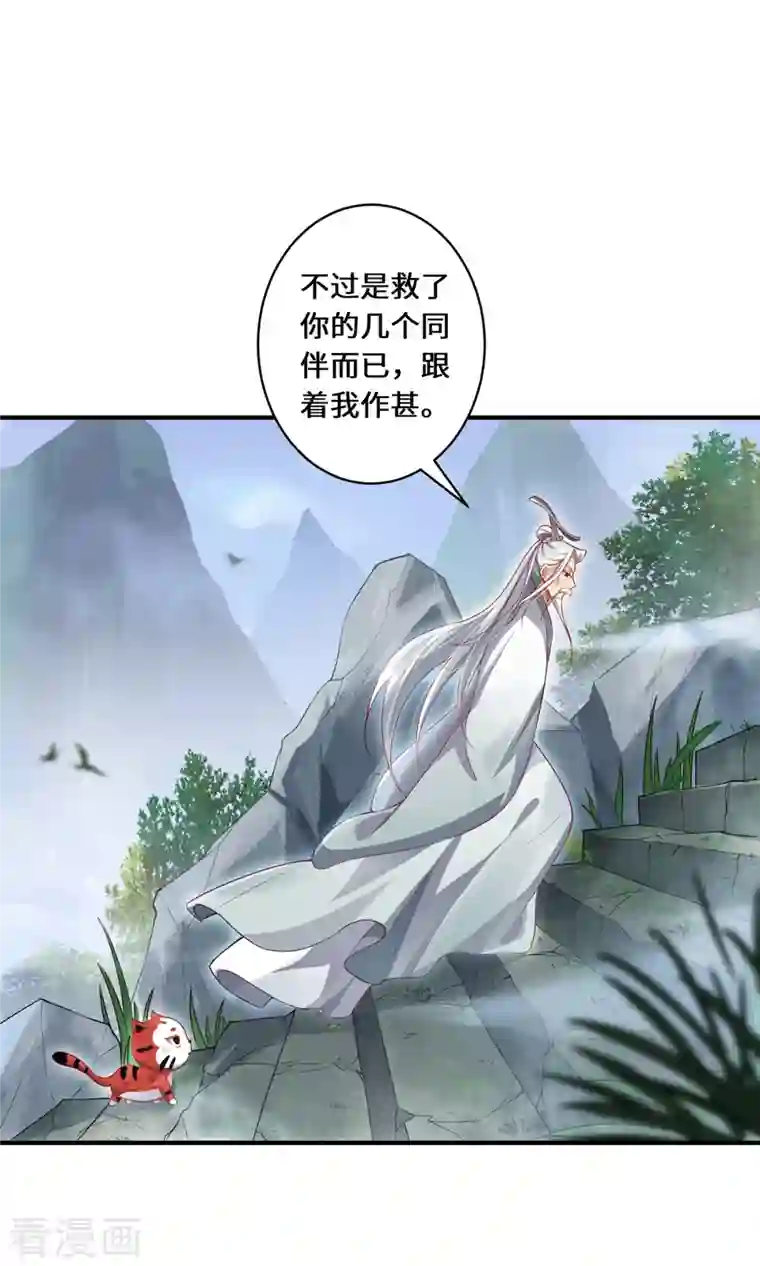 吾本是猫第13话 意外负伤