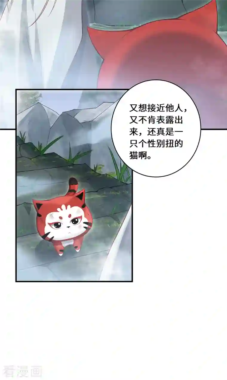 吾本是猫第13话 意外负伤