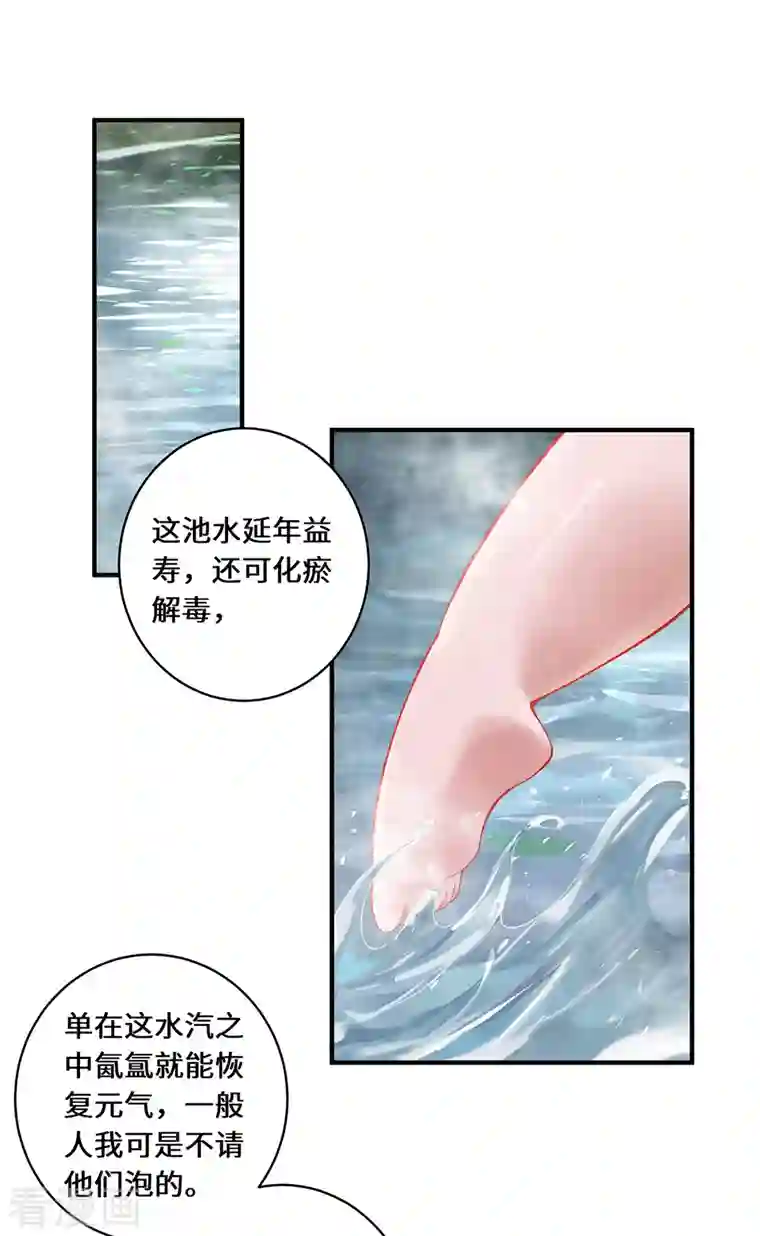 吾本是猫第13话 意外负伤