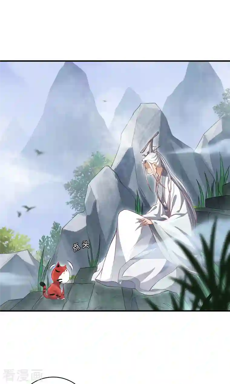 吾本是猫第13话 意外负伤