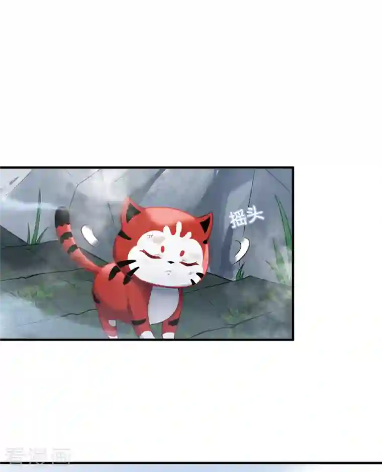 吾本是猫第13话 意外负伤
