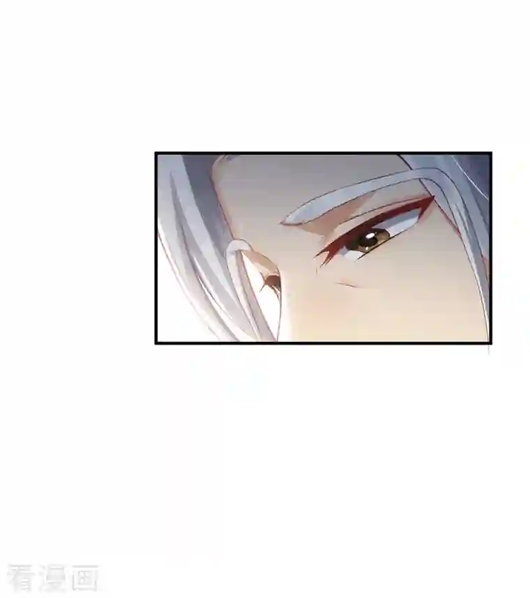 吾本是猫第13话 意外负伤