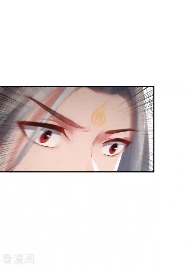 吾本是猫第13话 意外负伤