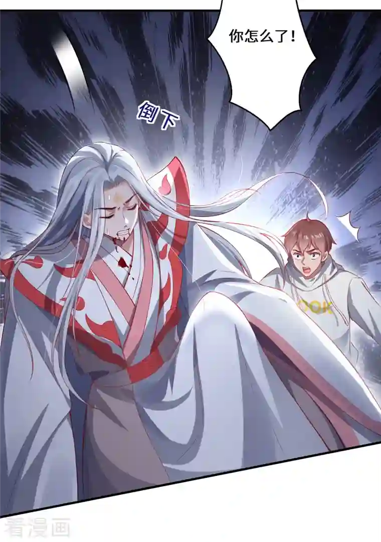 吾本是猫第13话 意外负伤