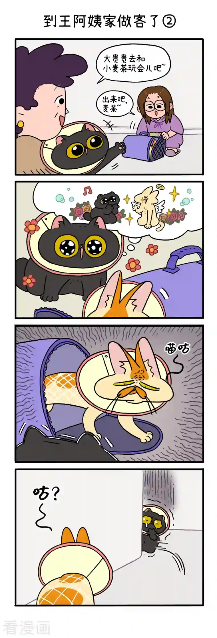阿满和麦茶第22话1 到王阿姨家做客了
