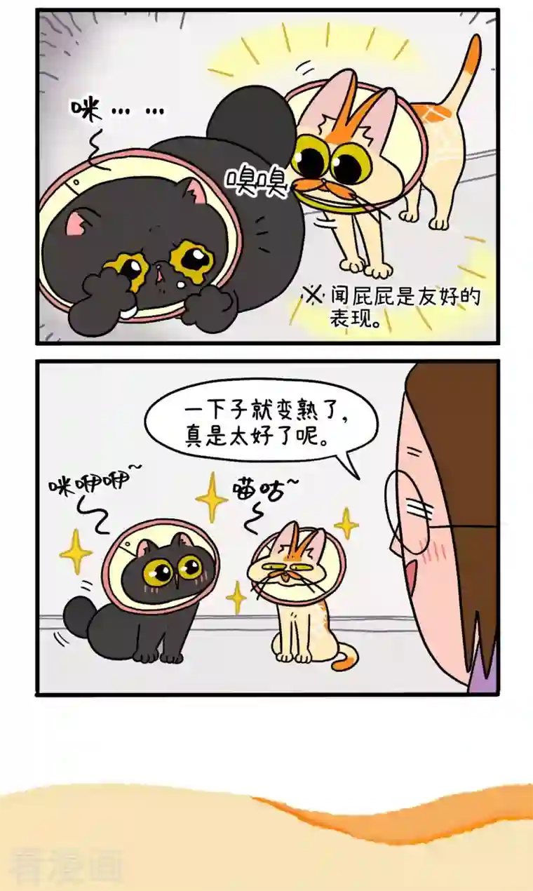 阿满和麦茶第22话1 到王阿姨家做客了