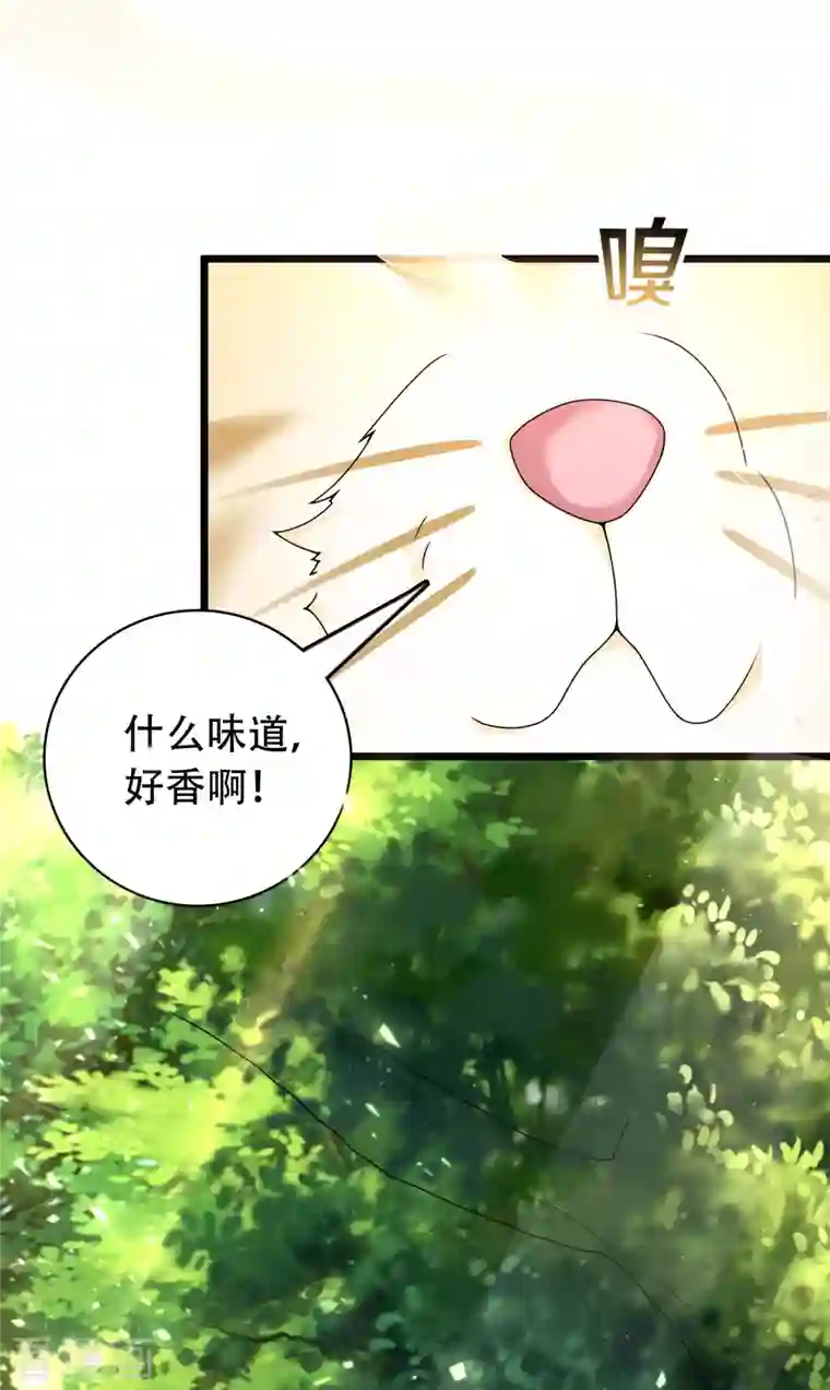 科技大仙宗第19话 真是孽缘啊！