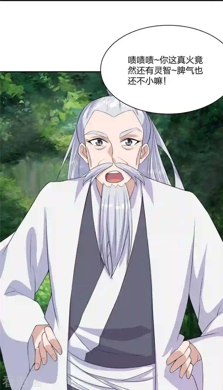 仙武帝尊第234话 诸葛老头！