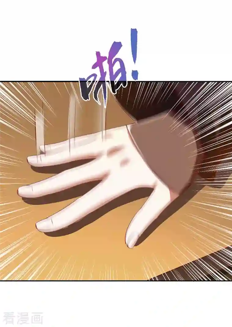 一品嫡女第211话 回到家中