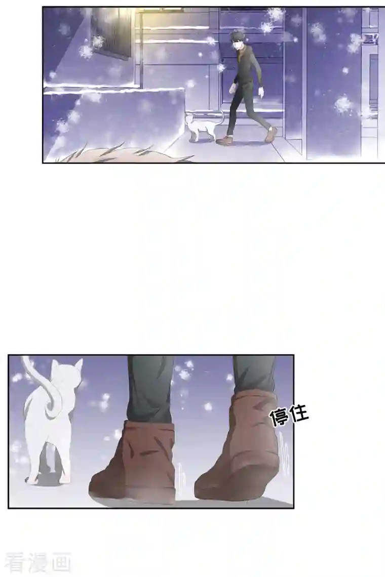 影子侦探第47话 朴刑警上线