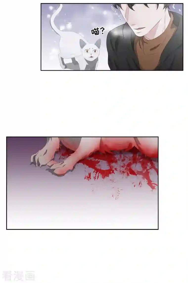 影子侦探第47话 朴刑警上线