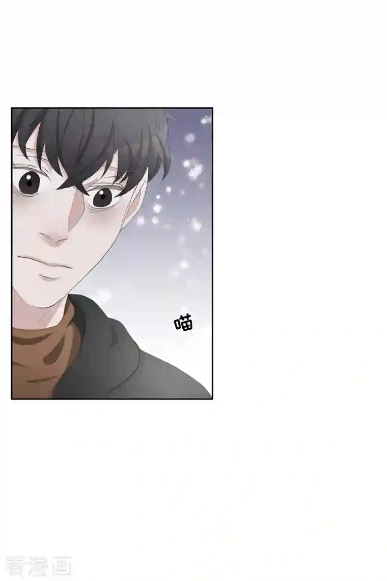 影子侦探第47话 朴刑警上线