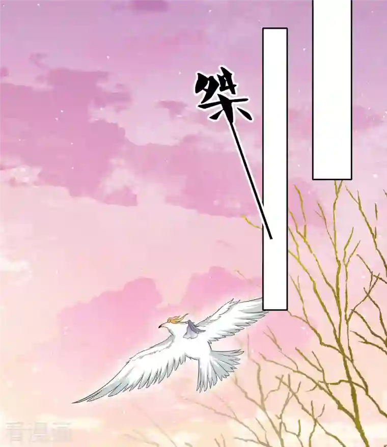 长相思第33话 突变