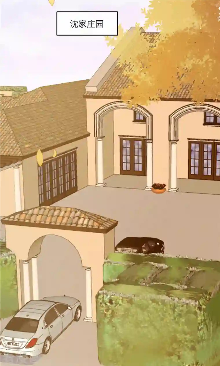 狼总裁的兔小姐第46话 沈唯轶的前女友