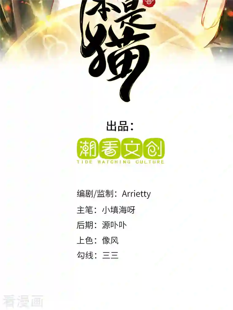 吾本是猫第14话 被安排好的秘密