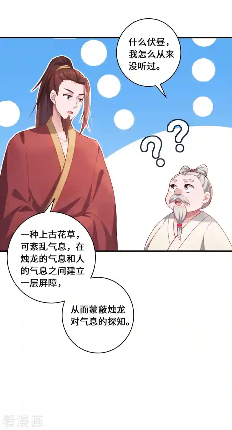 吾本是猫第14话 被安排好的秘密