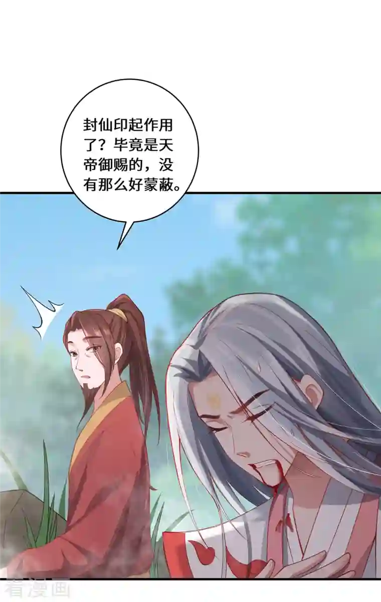 吾本是猫第14话 被安排好的秘密