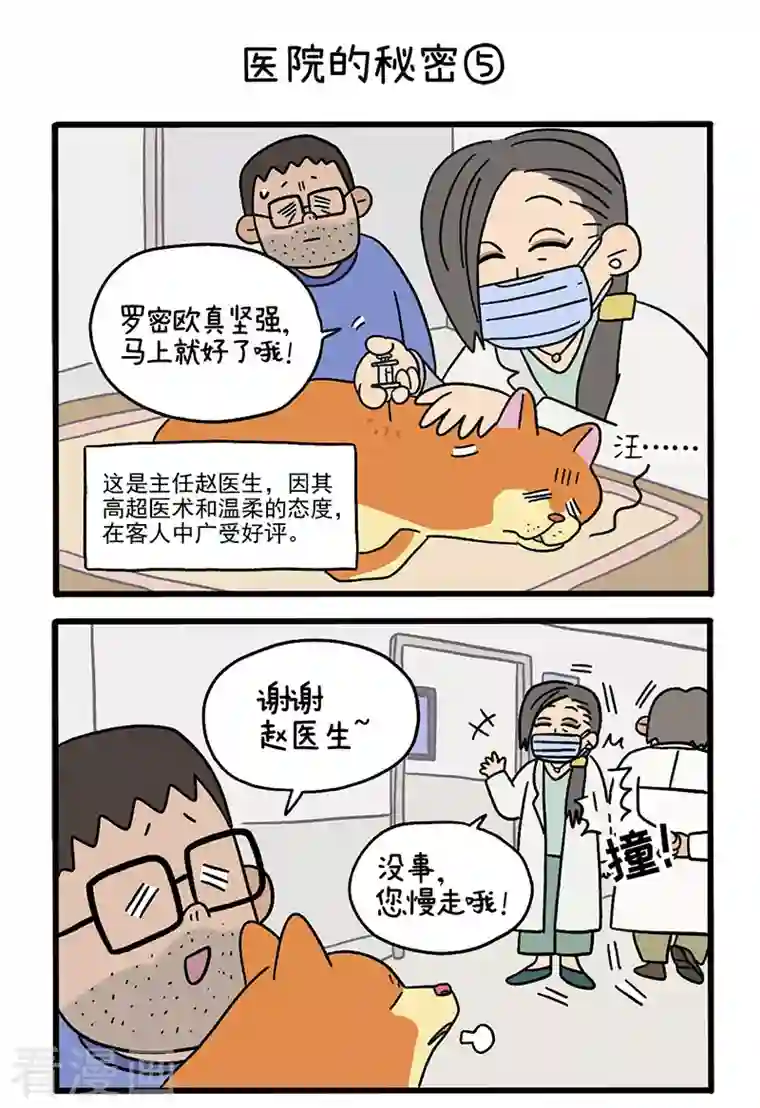 阿满和麦茶番外3 医院的秘密2