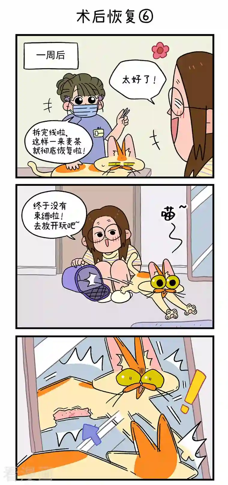 阿满和麦茶第23话2 术后恢复