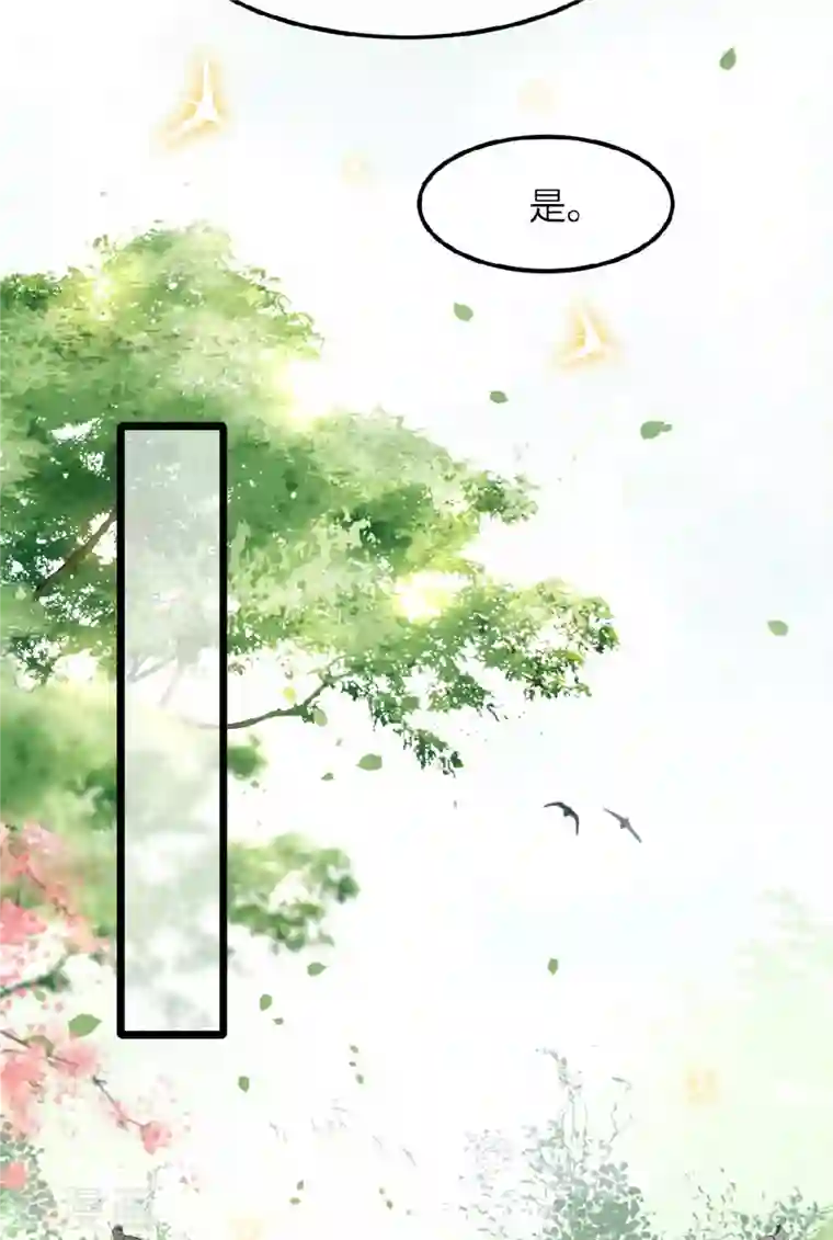 凤凰于飞第40话 贺礼中的猫腻