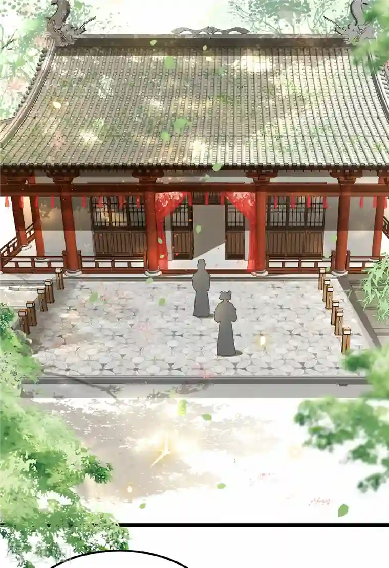 凤凰于飞第40话 贺礼中的猫腻