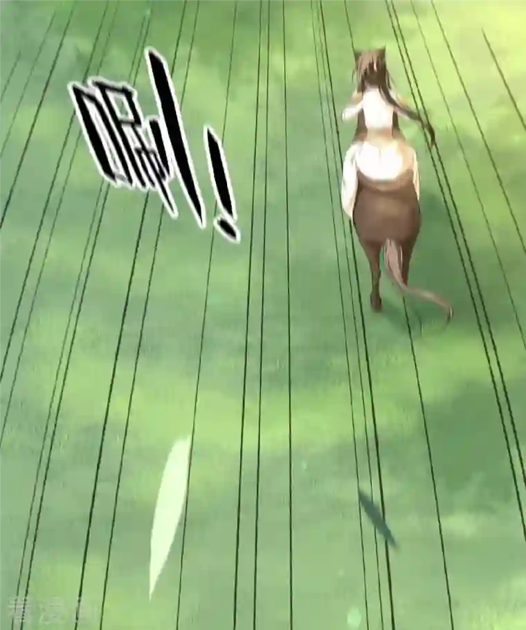 凤凰于飞第49话 围猎争霸遭偷袭