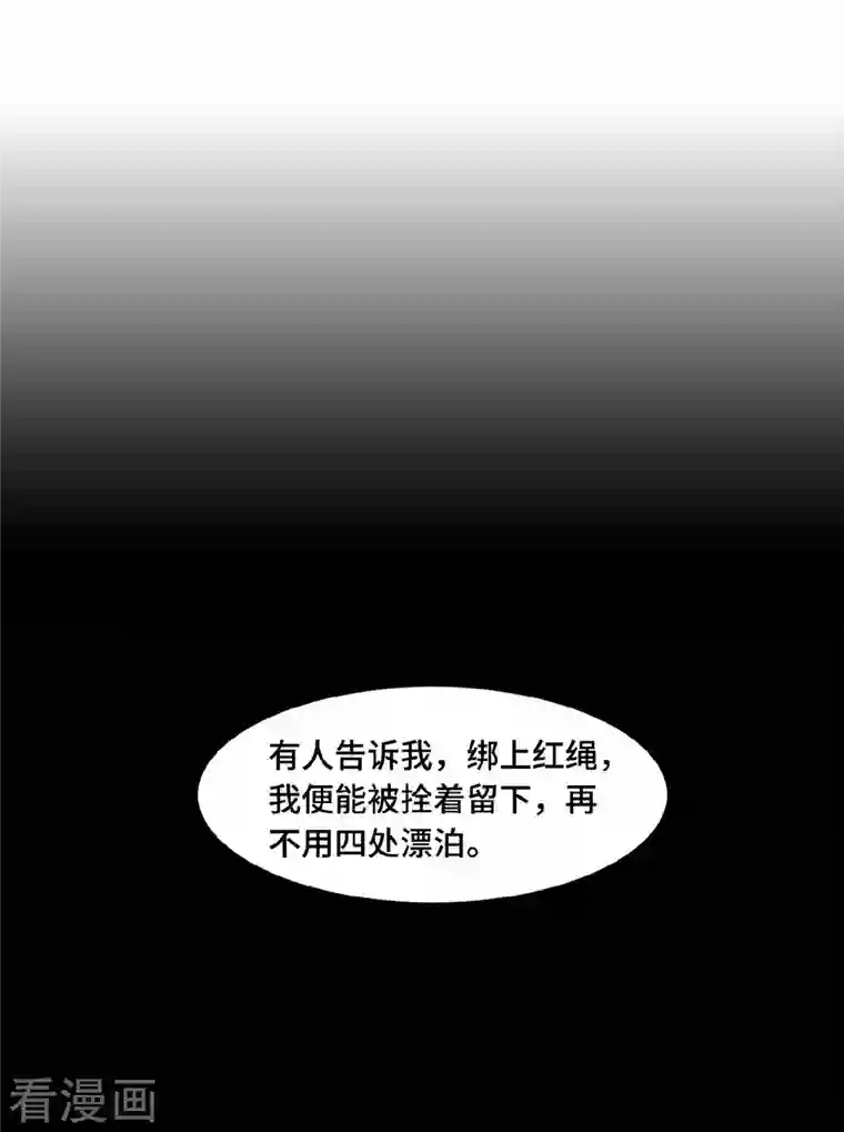 凤凰于飞第60话 你若安好我便好