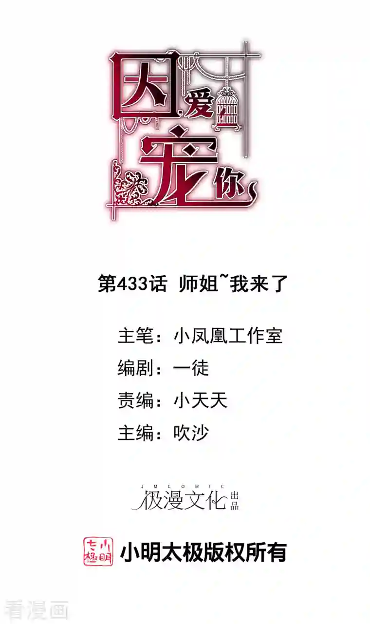 因爱宠你第433话