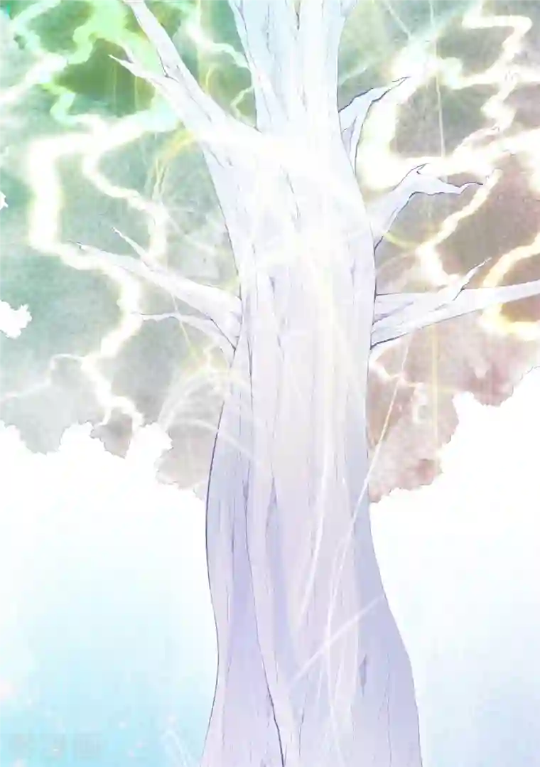 都市至尊第166话 有缘人