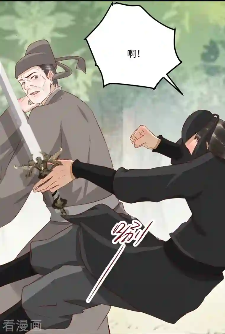 杀手王妃不好惹第101话 追杀