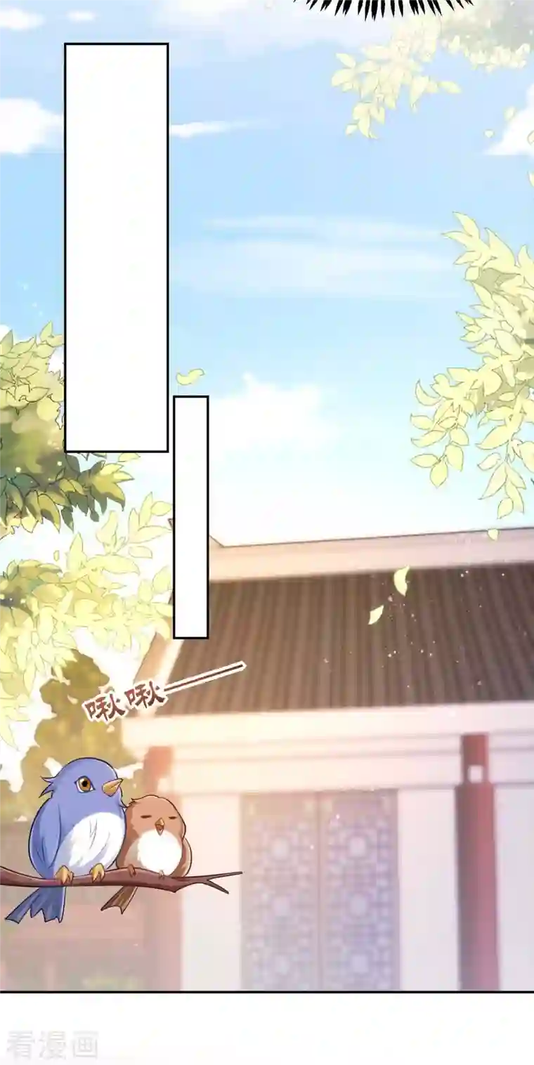 萌虎重生：将军大人要抱抱第55话 打赌