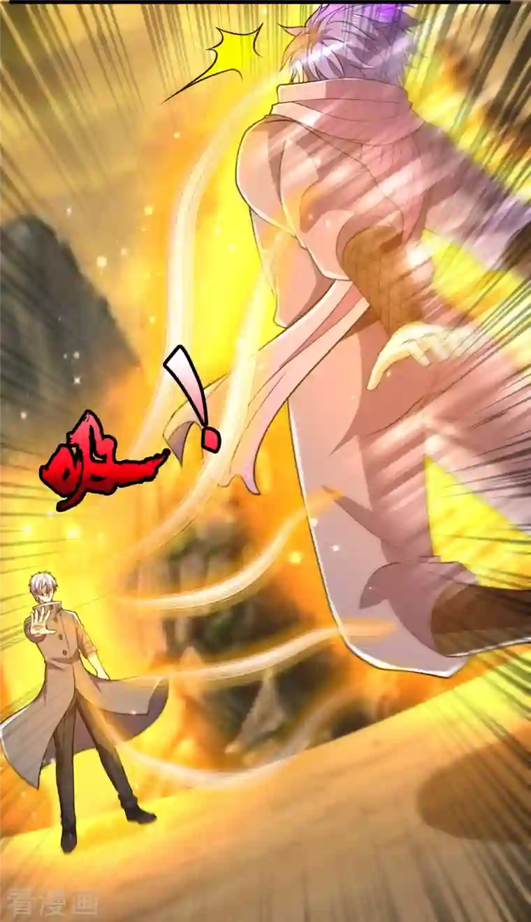 都市之逆天仙尊第223话 华夏的反击