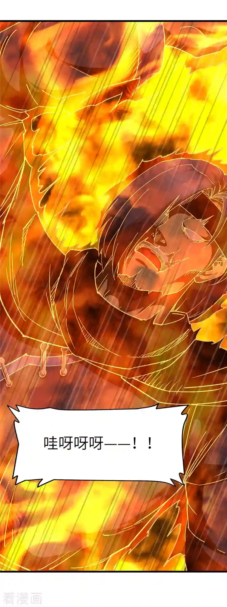 重生之我是大天神第111话 化为灰烬