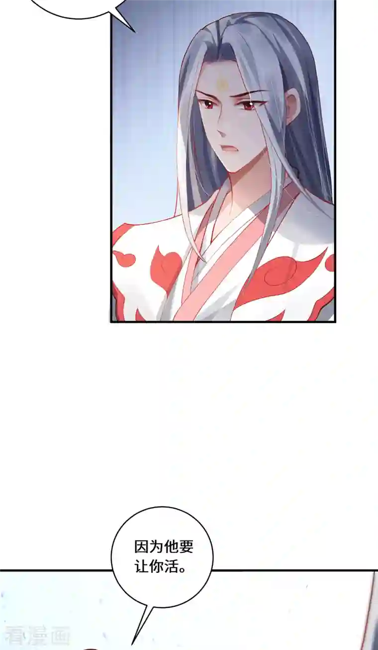 吾本是猫第17话 中元之劫