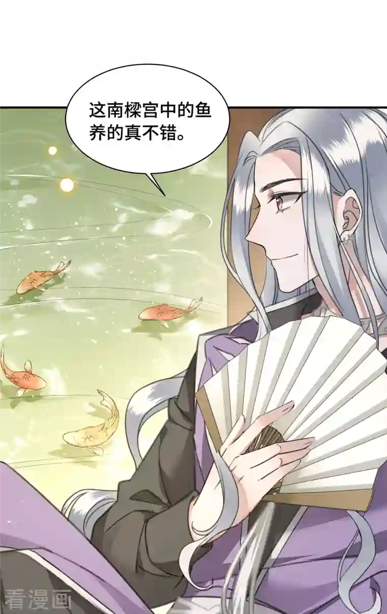 凤凰于飞第75话 你没有被抛弃