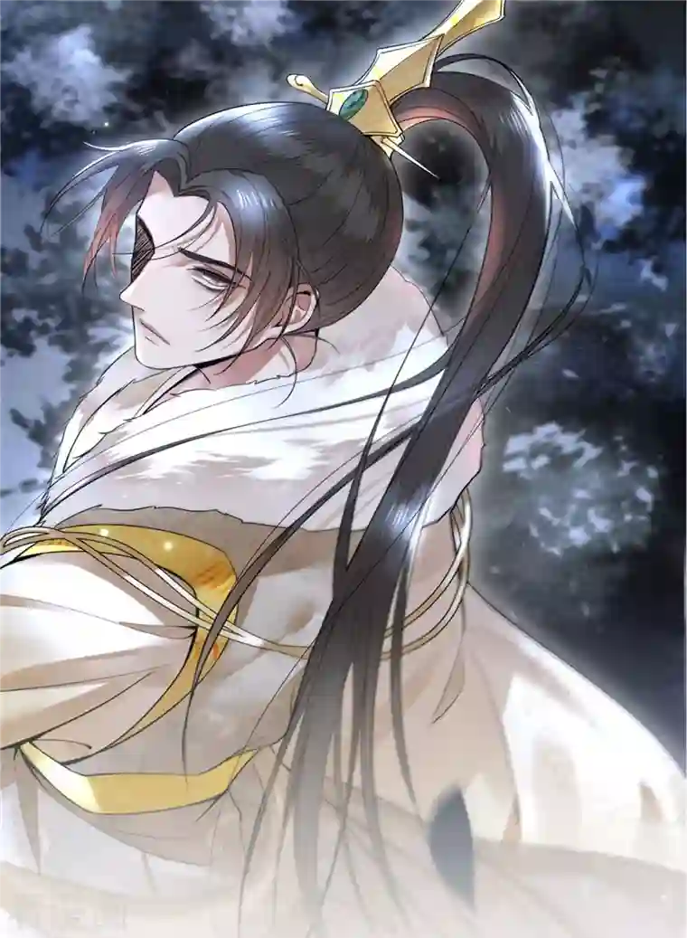 凤凰于飞第81话 人生若只如初见