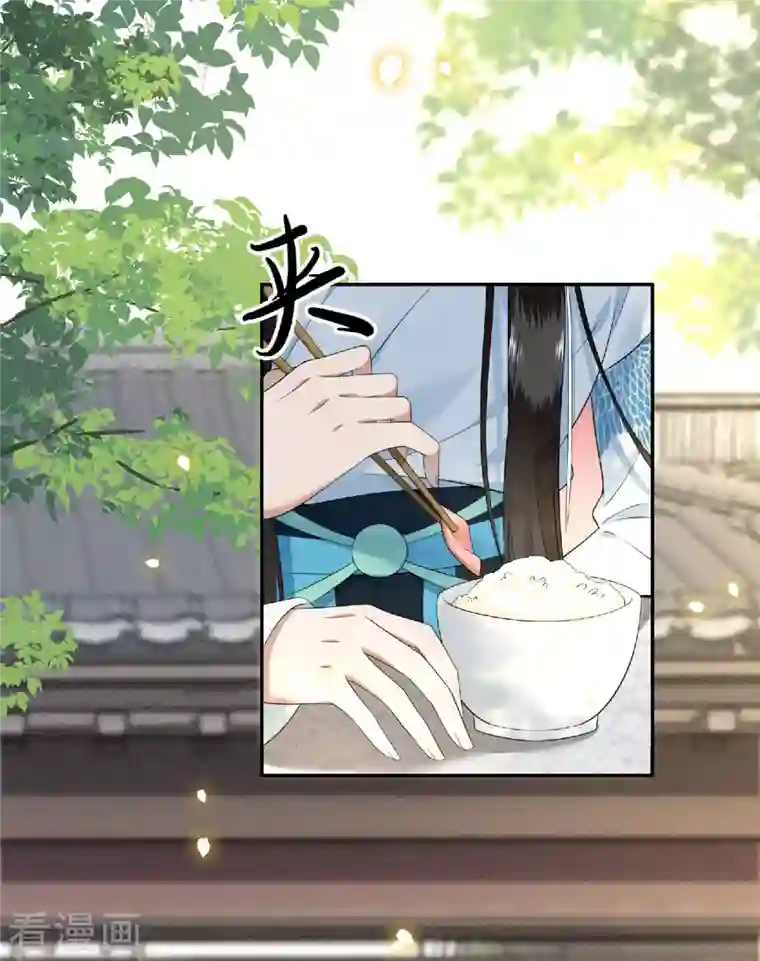 凤凰于飞第81话 人生若只如初见