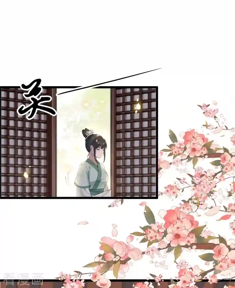 凤凰于飞第100话 对冉照下手吧