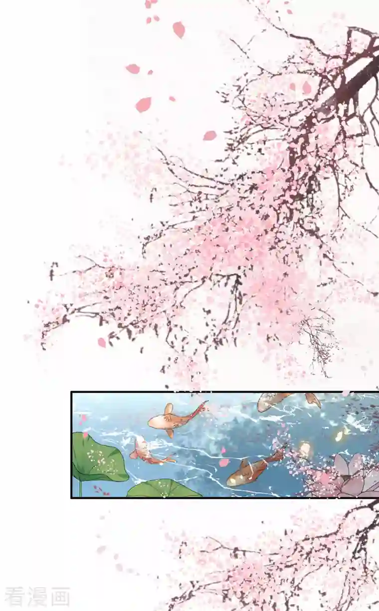 凤凰于飞第104话 你怎能害他！