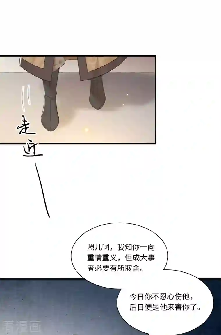 凤凰于飞第110话 四皇子突然拜访