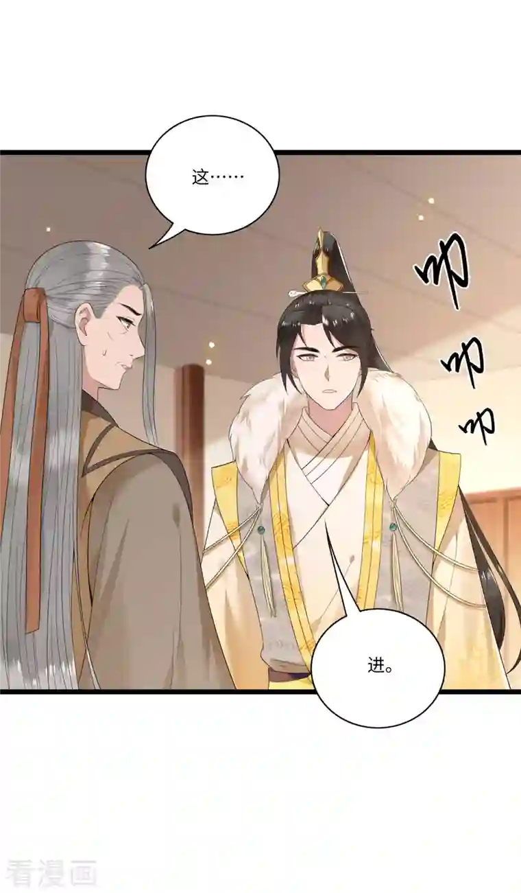 凤凰于飞第110话 四皇子突然拜访