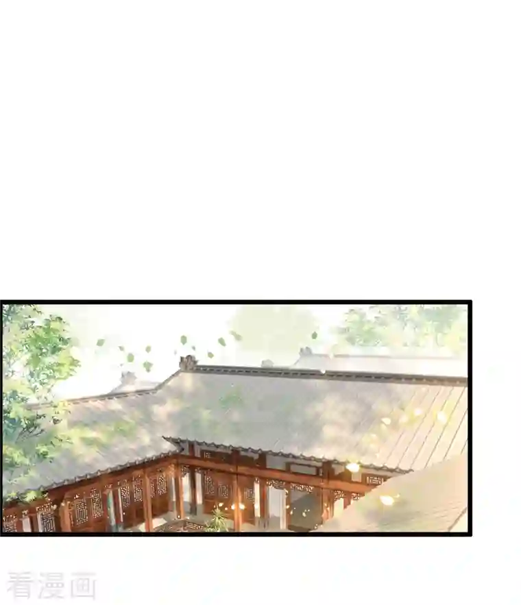 凤凰于飞第110话 四皇子突然拜访