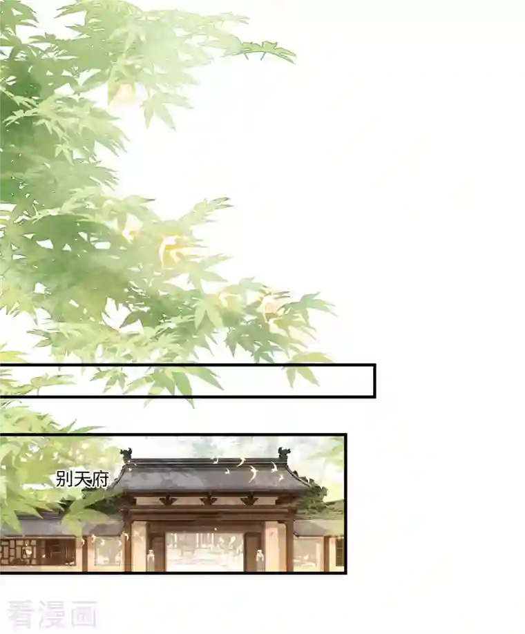 凤凰于飞第115话 临战一吻