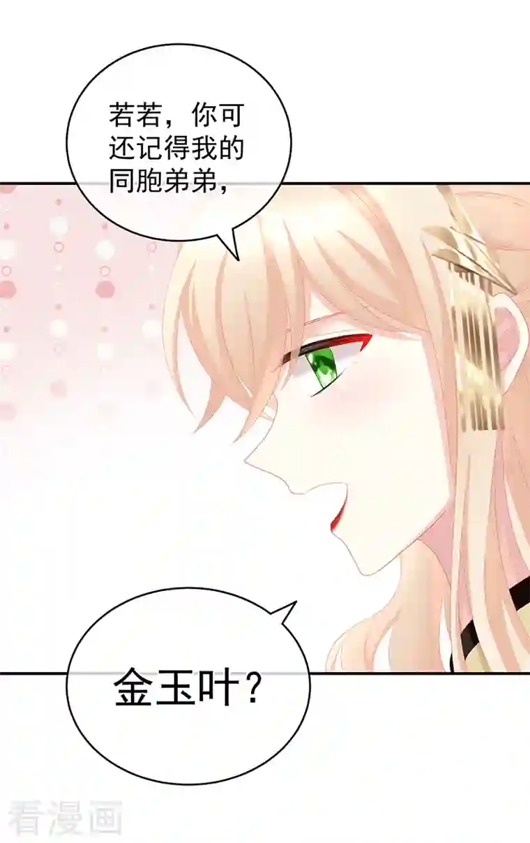 娇夫有喜第24话 给弟弟说亲