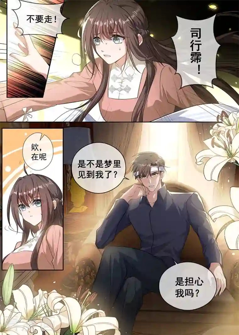 司少你老婆又跑了第411话 那不是意外