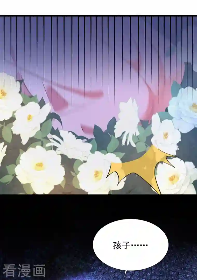 重生空间：豪门辣妻不好惹第239话 宝宝，你一定会平安