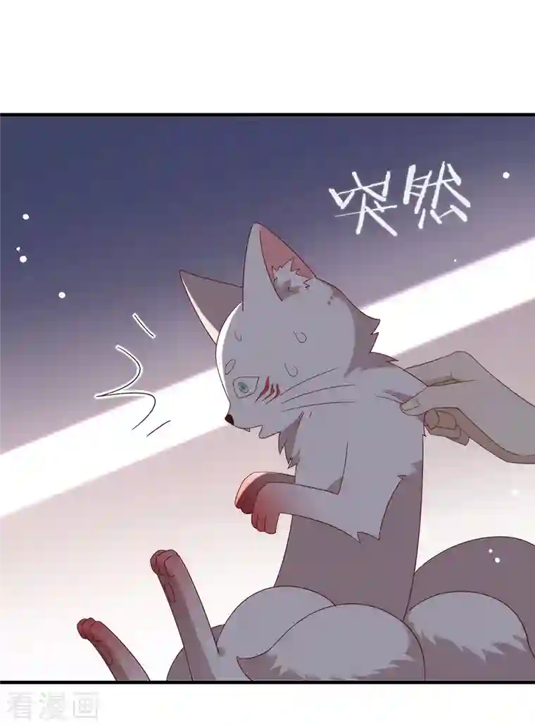 我与玛丽苏女主抢男友第156话 他去找你了